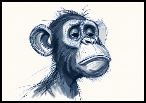 Plakat 66,5x46,5cm Zaduma na Arena.pl