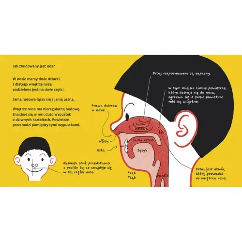 Dziurki W Nosie, Wydanie 2 na Arena.pl