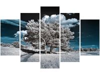 70 100CM OBRAZ 5 ELEM SILNE DRZEWA DRUK PŁÓTNO