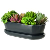 Kaktusiarka Doniczka 27,5 cm Grafitowy Owal Ceramika