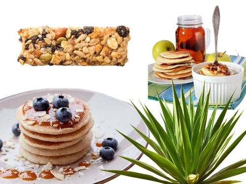 Syrop z agawy ekologiczny zamiennik cukru naturalny 100%bio 350g na Arena.pl