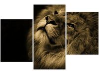 60 90CM OBRAZ 3 ELEM ZŁOTY LEW ŚCIENNY DRUK PŁÓTNO