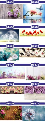 fototapety FOTOTAPETA na wymiar KWIAT kamienie SPA na Arena.pl