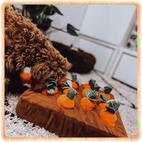 MATA WĘCHOWA MARCHEWKI DLA PSA KOTA EDUKACYJNA ZABAWKA NA PRZYSMAKI SMACZKI