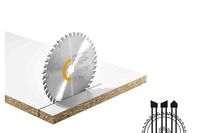 tarcza pilarska wood rip cut hw 160*20 pw12 - fe 205550