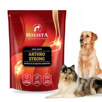 HOLISTA Arthro STRONG dla Psa DUŻYCH RAS na STAWY ŚCIĘGNA DYSPLAZJA 600G
