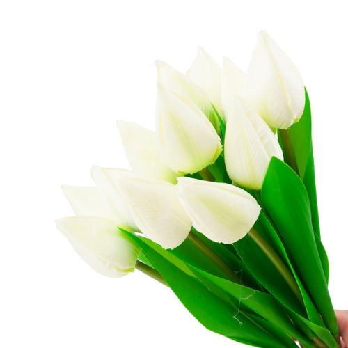 TULIPANY BUKIET TULIPANÓW PIĘKNY JAK ŻYWY TULIPAN KWIATY BIAŁE 12 KWIA na Arena.pl