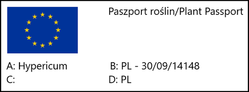 Dziurawiec ozdobny 'Hidcote' (Hypericum) w doniczkach P9, wysokość 20-30 cm na Arena.pl