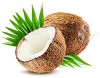 FOTOTAPETA kuchenna KOKOS LIŚCIE KOKOSA