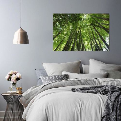 Deco Panel, Bambusowy gaj 70x50 na Arena.pl