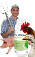 SUPLEXAN ALLIUM 1l czosnek w płynie dla drobiu trzody wspomaga odporność