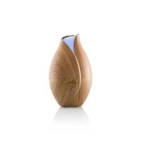 Nawilżacz powietrza aromatyzer ETA 463490000 Aria