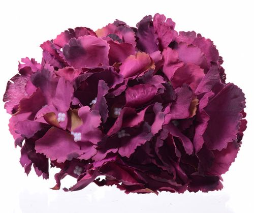 HORTENSJA WYROBOWA na Arena.pl