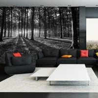 Fototapeta - The Light in the Forest 200x140