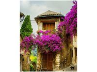 40X50CM STARE MIASTO PROWANSJI OBRAZ