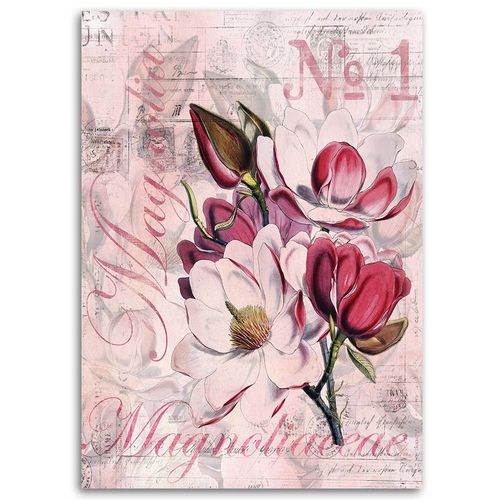 Obraz na płótnie – Canvas, Magnolia 50x70 na Arena.pl