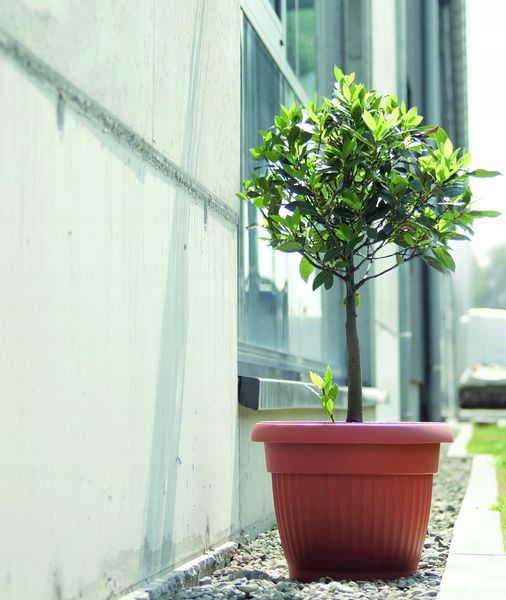 Doniczka klasyczna Terra DCE20 | Antracyt, Kształt Okrągły, Wymiary 20x15.5 cm, Kolor Antracyt, Prosperplast zdjęcie 6