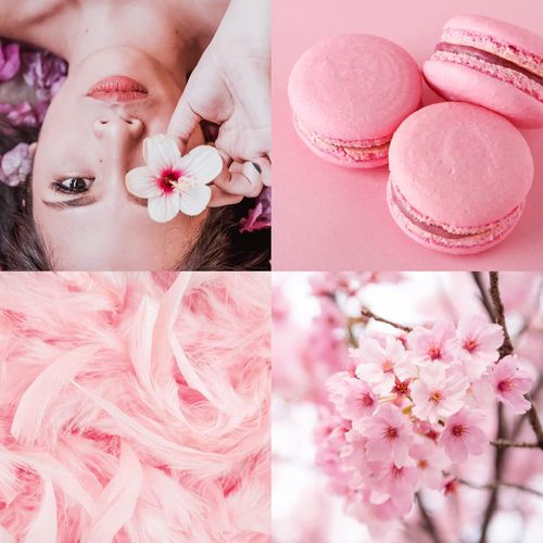 Taylor Of London White Satin Perfum Toaletowy Dla Kobiet 50ml na Arena.pl