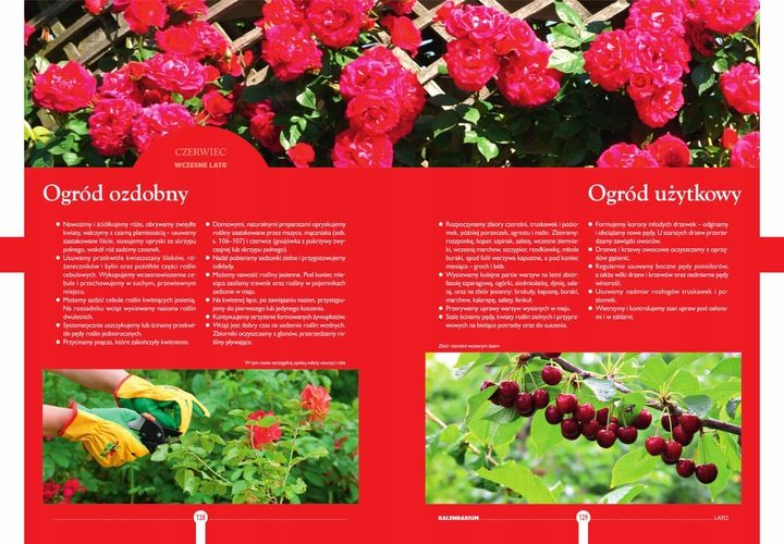 ROK W OGRODZIE Joanna Mikołajczyk OGRÓD I UPRAWA ROŚLIN ATLAS TWARDA zdjęcie 3