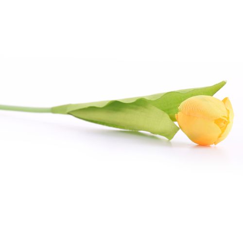 Tulipan 40cm żółty na Arena.pl