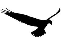 NAKLEJKI ODSTRASZACZ PTAKÓW na szybę okno M 35 cm