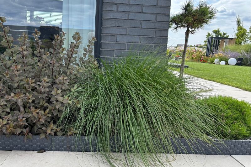 Palisada RATTAN 80 cm antracyt (athracite) zdjęcie 4