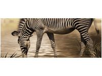 100X40CM ZEBRA WODOPOJU OBRAZ DREWNO
