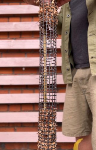 Palik z mchu 80cm sphagnum Podpora do roślin na Arena.pl