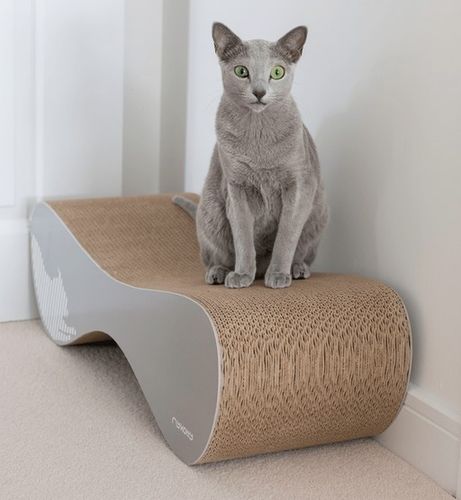 MyKotty Drapak Vigo siwy na Arena.pl