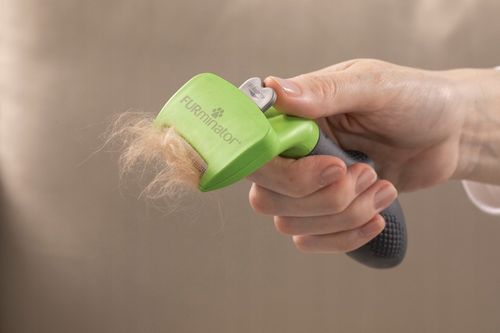 FURminator dla psów średnich sierść krótka M na Arena.pl