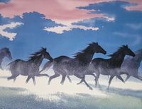 product-compare-59395742