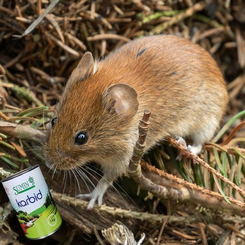 KARBID NA KRETY I NORNICE SUMIN GRANULOWANY ŚRODEK ODSTRASZA ZAPACHEM 1KG na Arena.pl