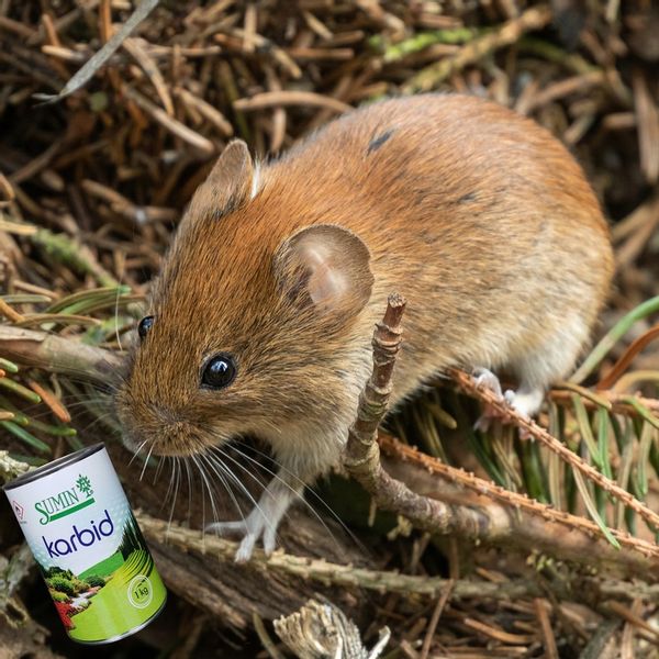 KARBID NA KRETY I NORNICE SUMIN GRANULOWANY ŚRODEK ODSTRASZA ZAPACHEM 1KG zdjęcie 3