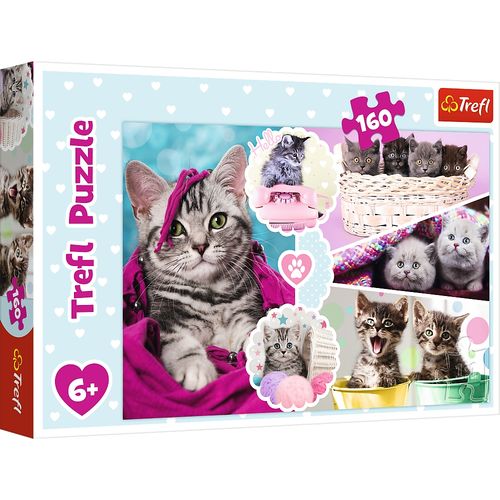 Puzzle 160 Urocze Kotki 15371 na Arena.pl