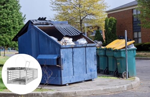 MYSZOŁAPKA ŻYWOŁAPKA PUŁAPKA ŁAPKA NA MYSZY I SZCZURY CHWYTACZ na Arena.pl