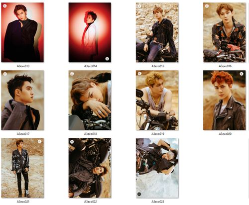 Plakat A3 EXO DO WYBORU na Arena.pl