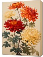 product-compare-59465537