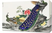Obraz 60x40cm Peacock and Peony, Kashu Japoński Vintage do Salonu