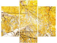 70 90CM OBRAZ 3 ELEM BRZOZA ŚCIENNY PŁÓTNO