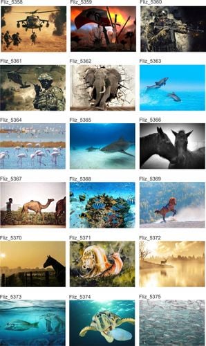 Fototapeta CHMURKI ŻYRAFA ŻÓŁW 300x210 na Arena.pl