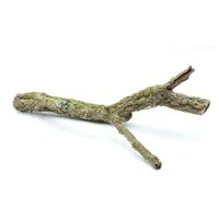 BioBranch 40cm Gałąź Dębu korkowego