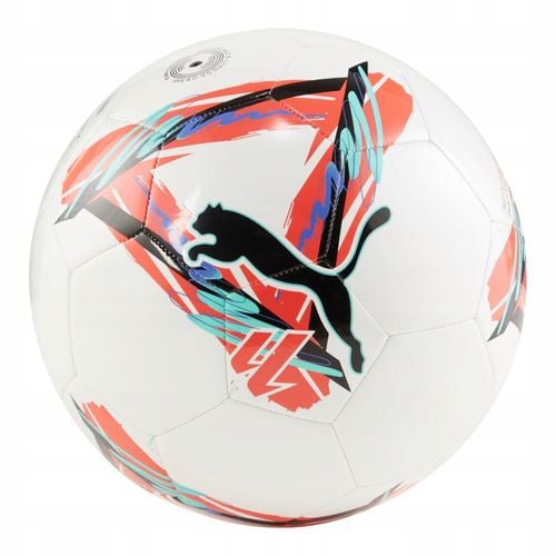 Piłka nożna Puma 842880 r. 5 na Arena.pl