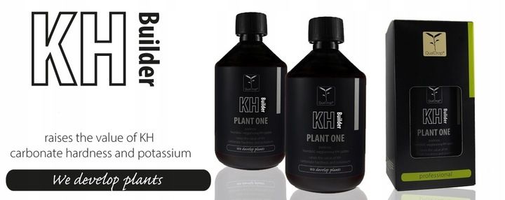 QualDrop KH Builder 500 ml zdjęcie 3