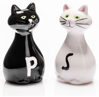 Solniczka i Pieprzniczka 2 Kotki - dla Miłośników Kotów