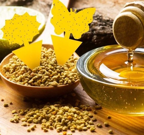 60x ŻÓŁTY LEP DO DONICZEK MOTYL na ziemiórki mszyce muszki owocówki owady na Arena.pl