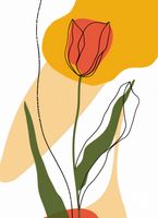 Plakat 40x55cm Przerysowany Tulipan