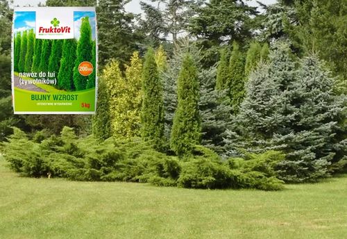 NAWÓZ DO TUJI ŻYWOTNIKÓW TUI THUI WIOSENNY FRUKTOVIT PLUS WYBARWIANIE na Arena.pl