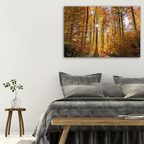 Deco Panel, Promienie słońca w lesie 90x60 na Arena.pl