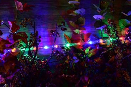 Wąż świetlny 240 LED 10 m, multicolor na Arena.pl