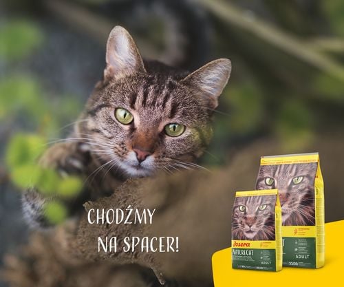 josera naturecat 400g na Arena.pl
